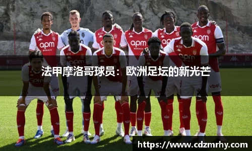 法甲摩洛哥球员：欧洲足坛的新光芒